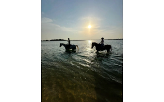 dubai beach horse riding with private picnic for two-1