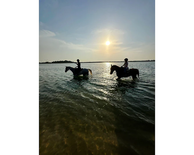 Dubai Beach Horse Riding with Private Picnic for Two