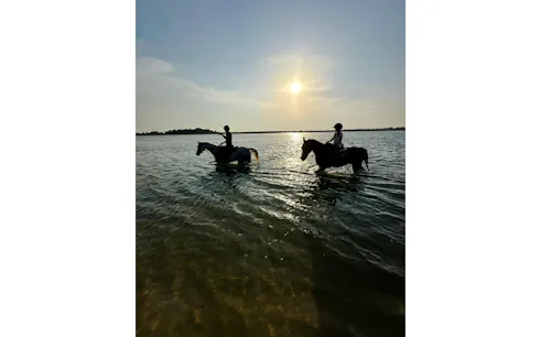 passeio a cavalo na praia de dubai com piquenique particular para dois-1