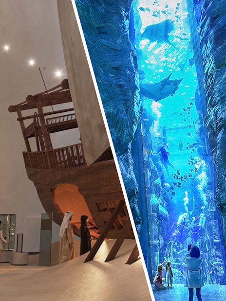 Exhibits at Zayed National Museum featuring historical artifacts and an aquarium display.