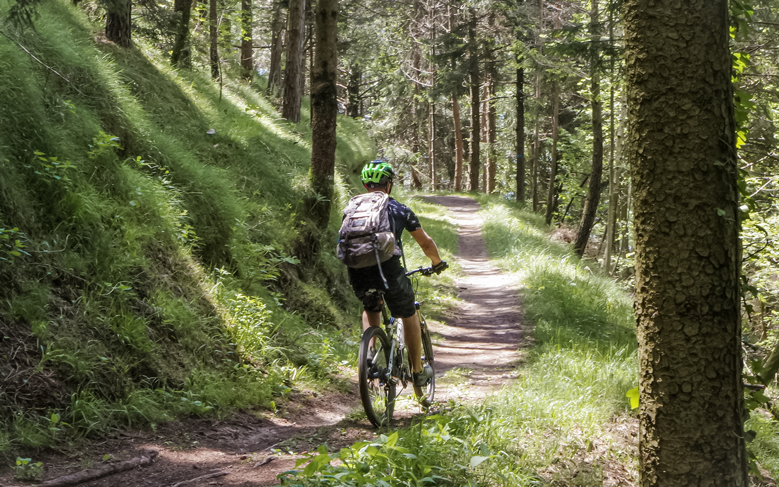 mountain biking trail