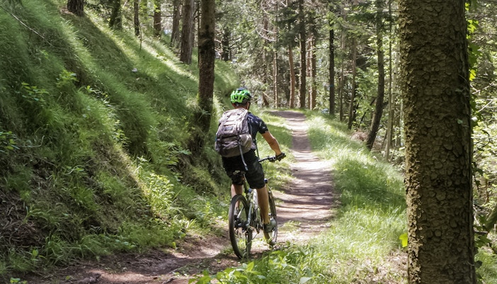 mountain biking trail