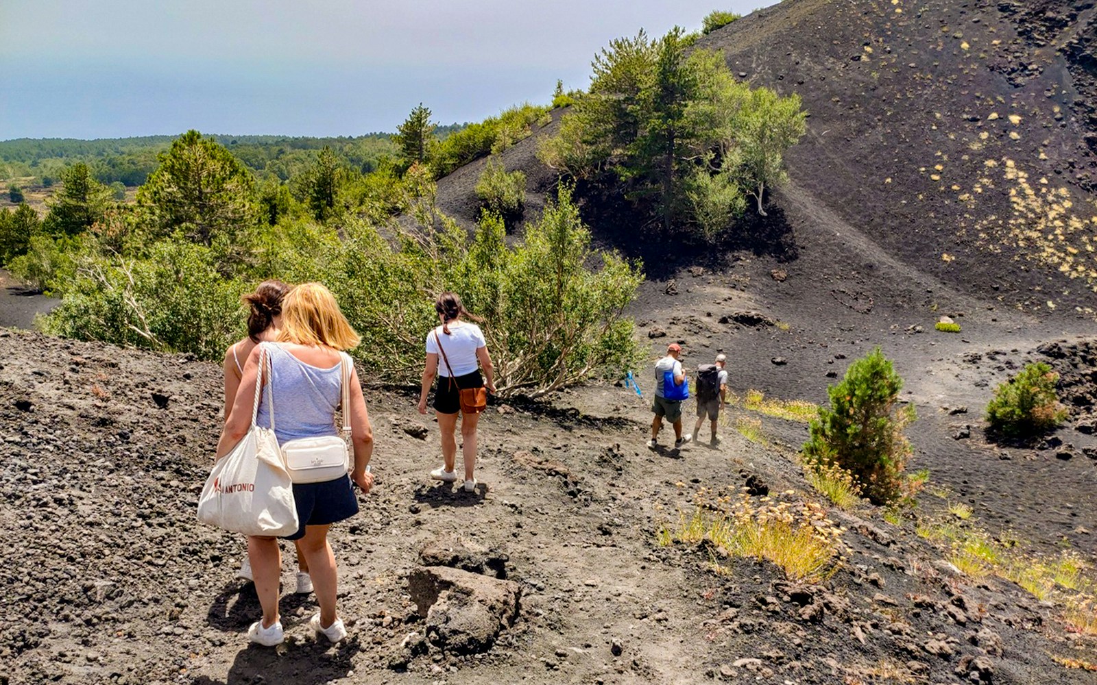 Volcanic flora & fauna zones