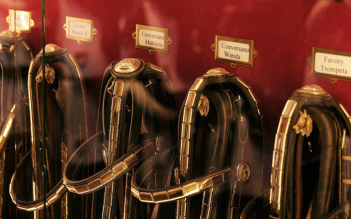 Horse bridles displayed in a tack room with nameplates.