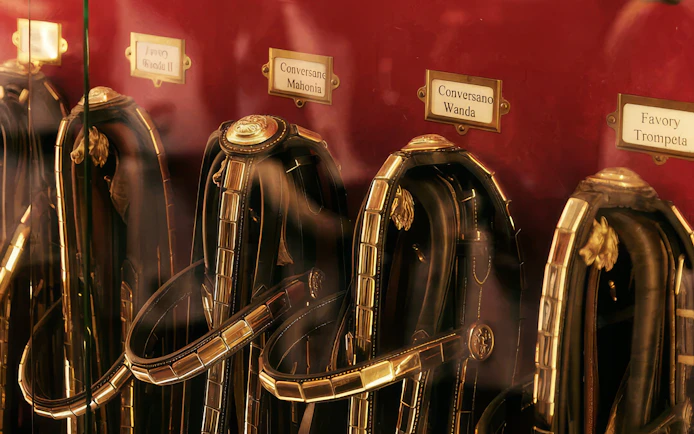 Horse bridles displayed in a tack room with nameplates.
