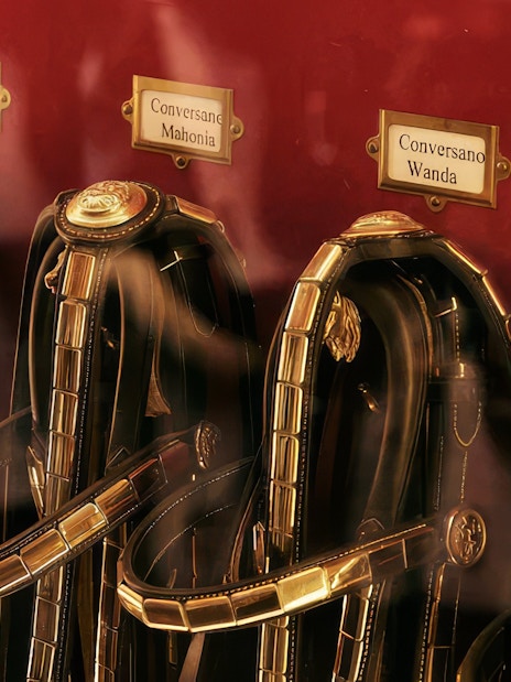 Horse bridles displayed in a tack room with nameplates.