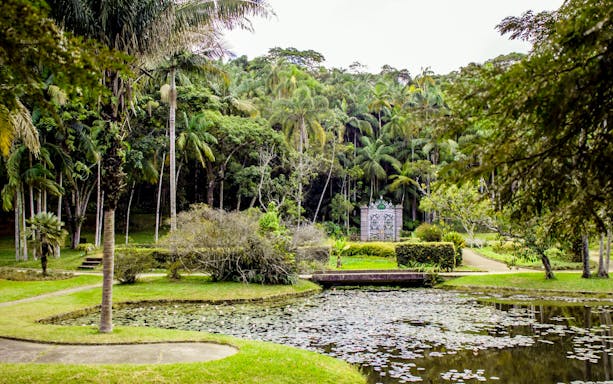 Lush greenery and pond at Jardim Botânico, São Paulo.