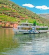 Crociera sul fiume Duero a Pinhão