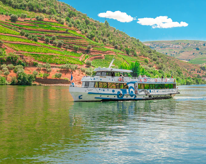 Full Day River Cruise to Douro Valley with Meals and Return Transfer