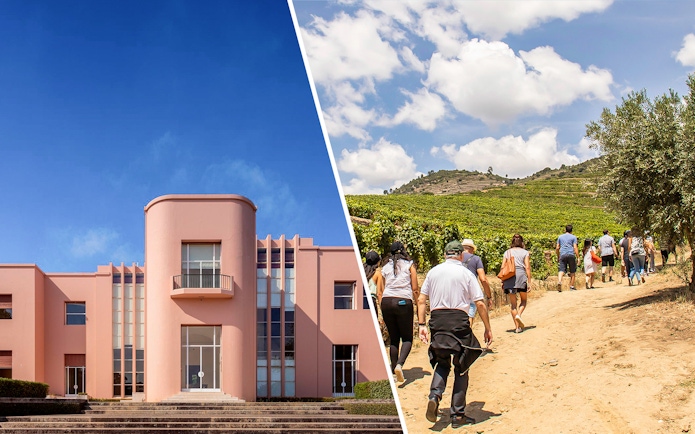 Serralves Foundation building and group touring Douro Valley vineyards.