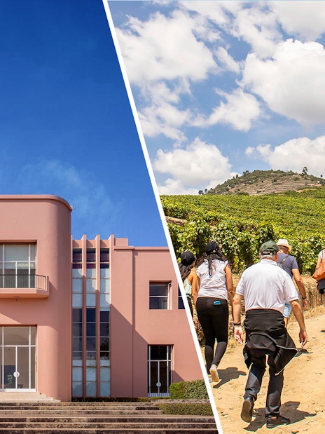 Serralves Foundation building and group touring Douro Valley vineyards.