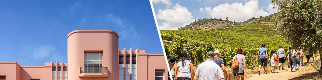 Combo: Biglietti per la Fondazione Serralves + Tour della Valle del Douro