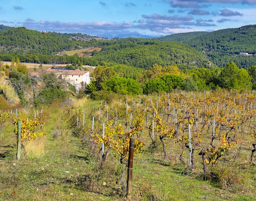 Landscape with autumn vineyards and farms in Montserrat