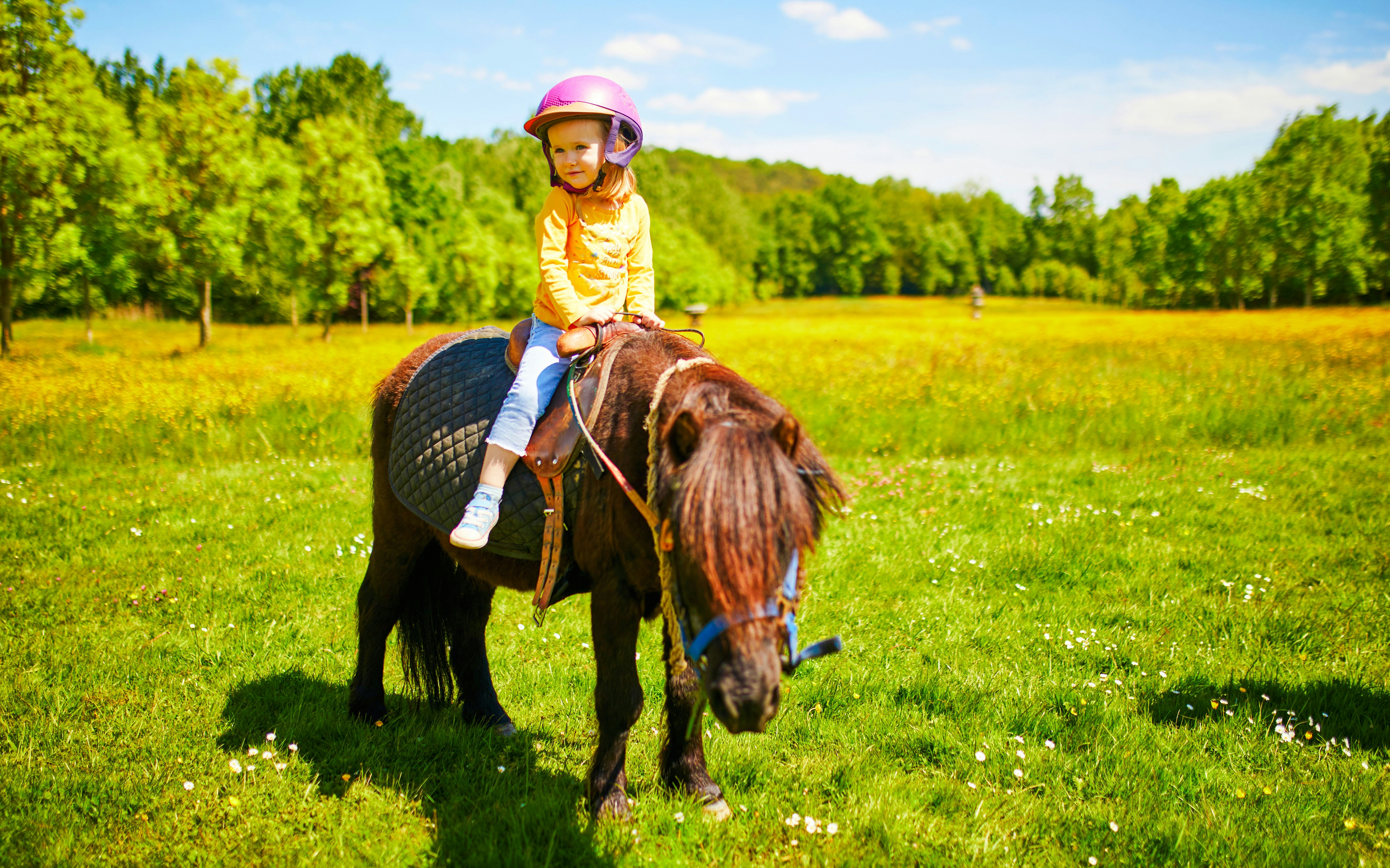 Child riding a pony in Sigurta Park, surrounded by green fields and trees.