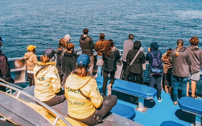 People on a whale watching boat tour, observing the ocean.