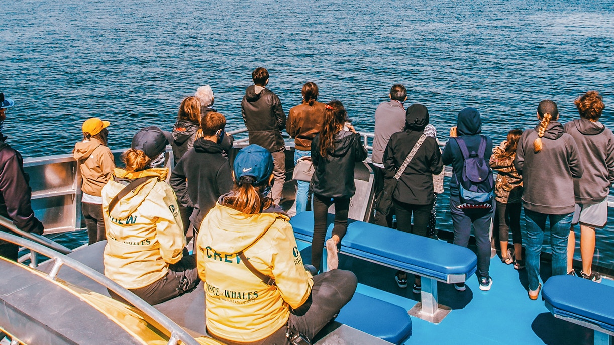 Whale watching tour group on a boat in Victoria, Canada, observing the ocean.