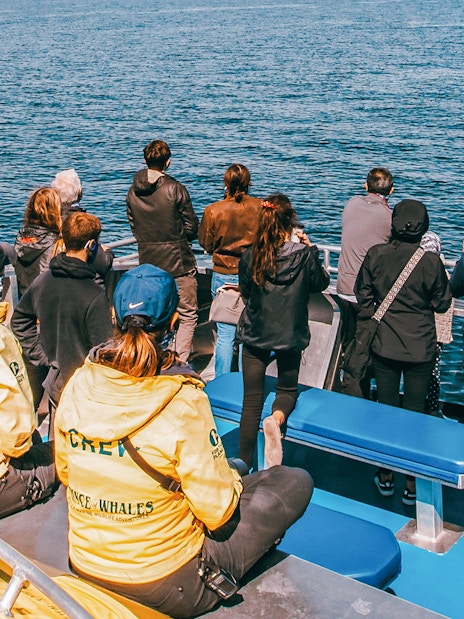 People on a whale watching boat tour, observing the ocean.