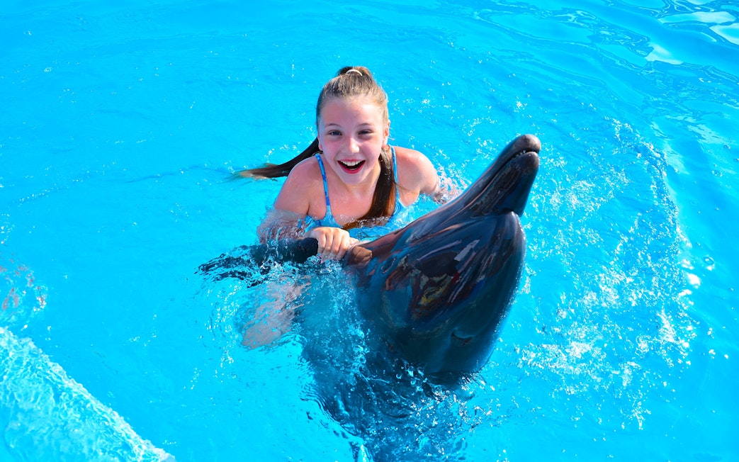 Girl swimming with dolphin at Dolphin World Egypt, Hurghada.