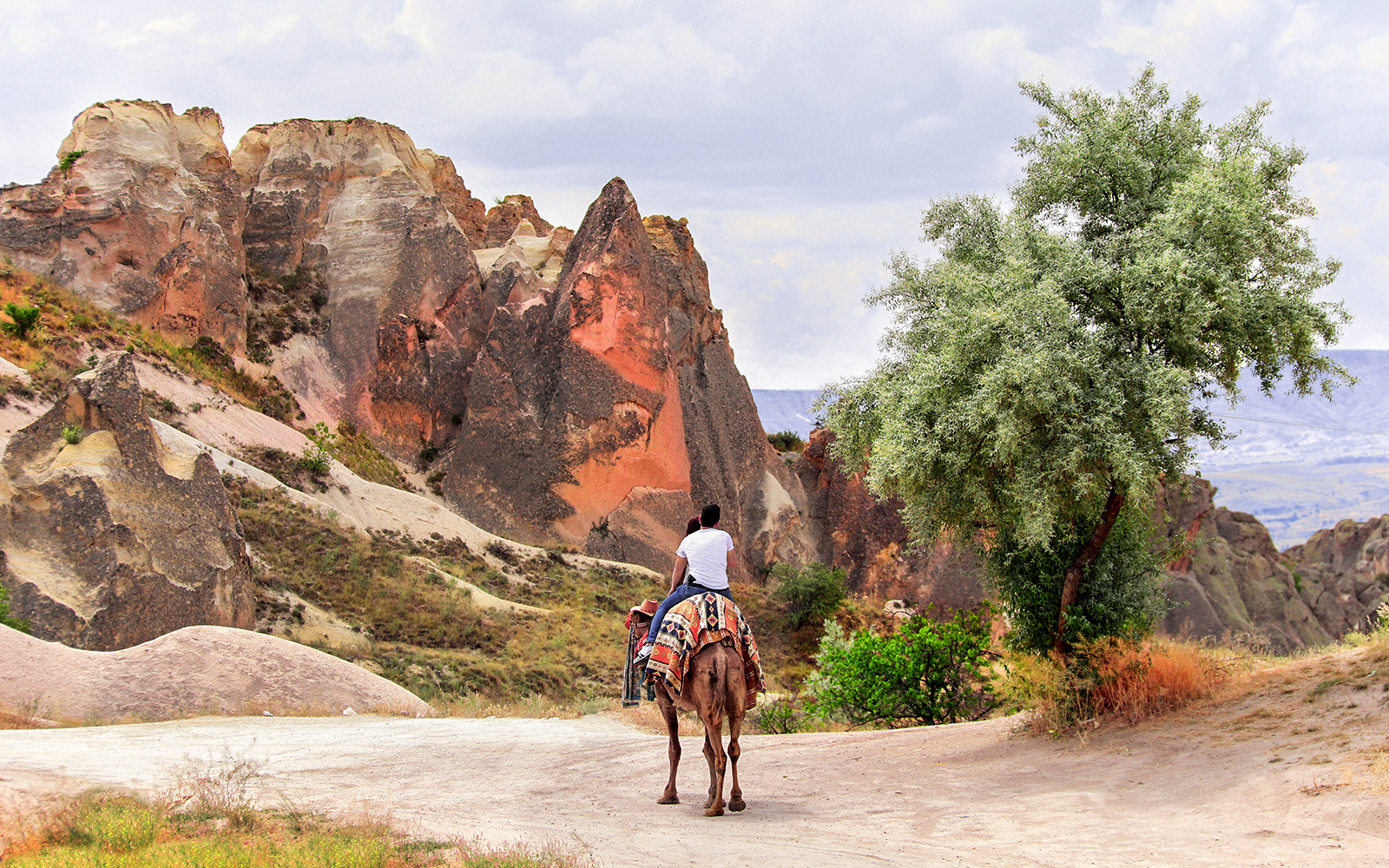 Camel ride through Cappadocia's unique rock formations and scenic landscape.