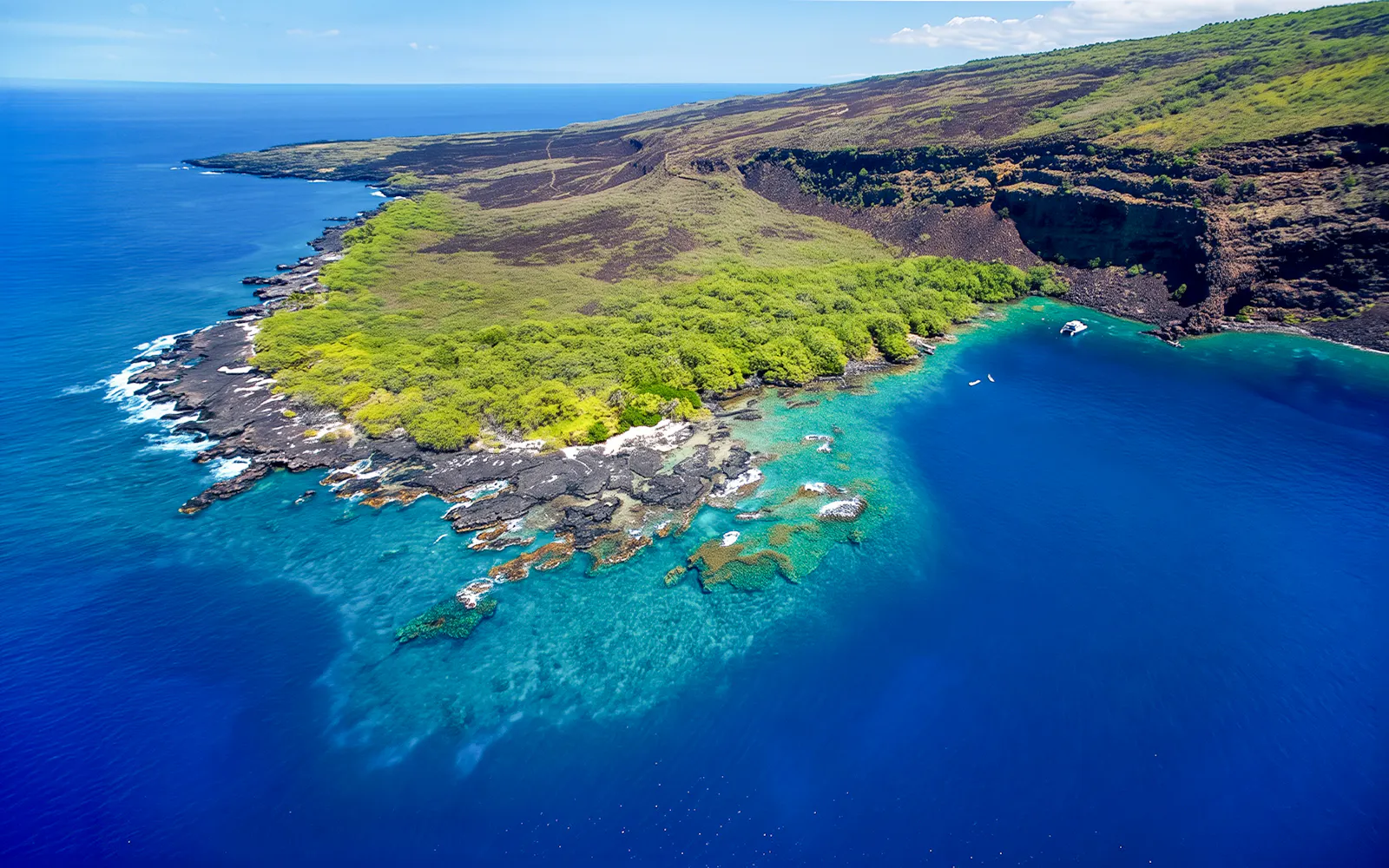 Aerial view of Kealakekua Bay's coastline with lush greenery and clear blue waters, Hawaii.