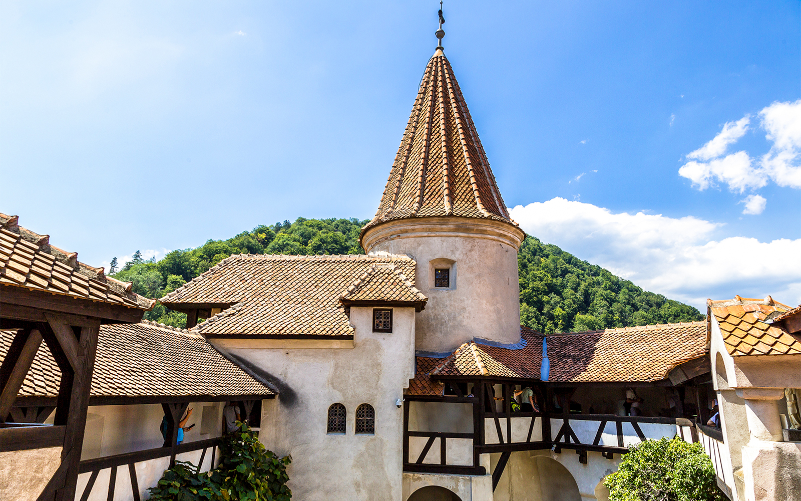 bran castle