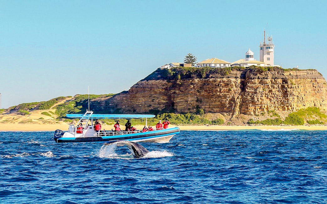 Boat with tourists whale watching near Newcastle, Australia coastline.