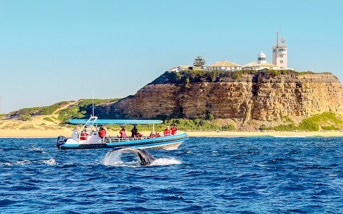 Boat with tourists whale watching near Newcastle, Australia coastline.