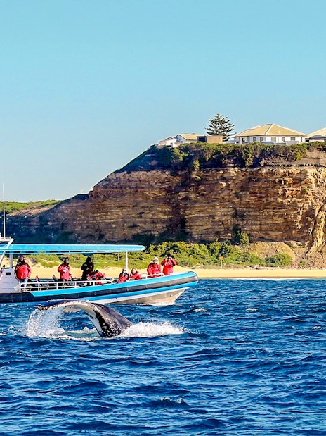 Boat with tourists whale watching near Newcastle, Australia coastline.