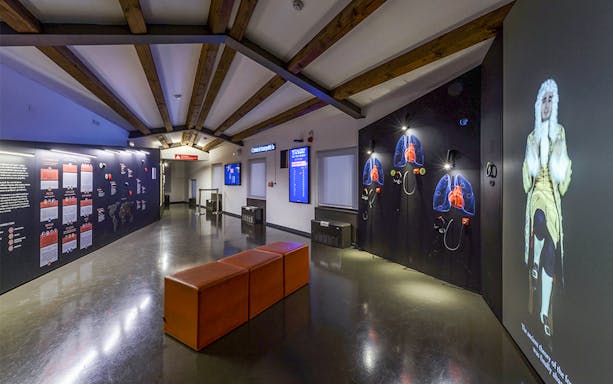 Interactive exhibits at the History of Medicine Museum, featuring lung displays and historical projections.