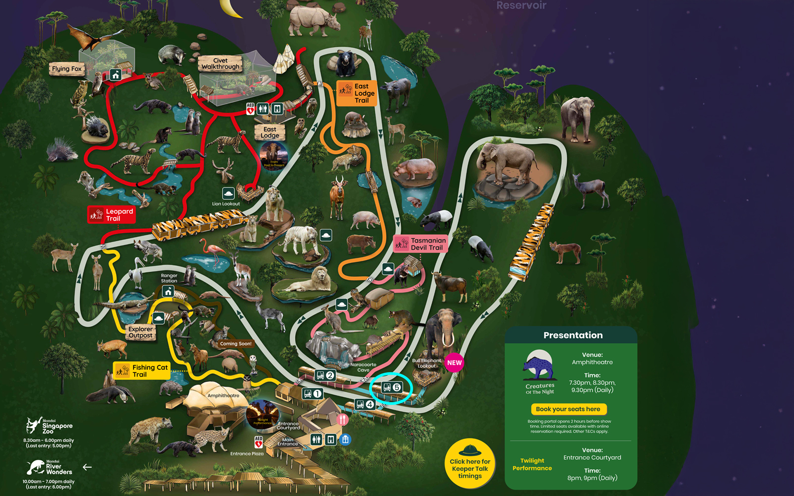 Night Safari Map