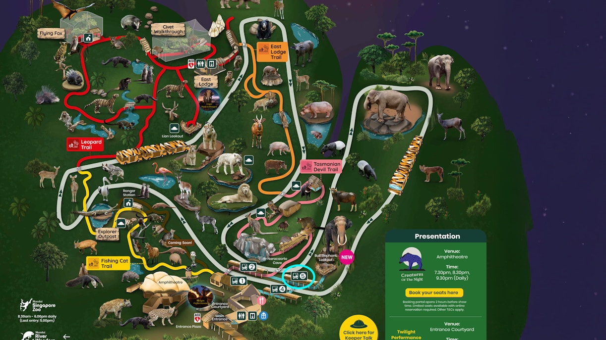 Night Safari Map