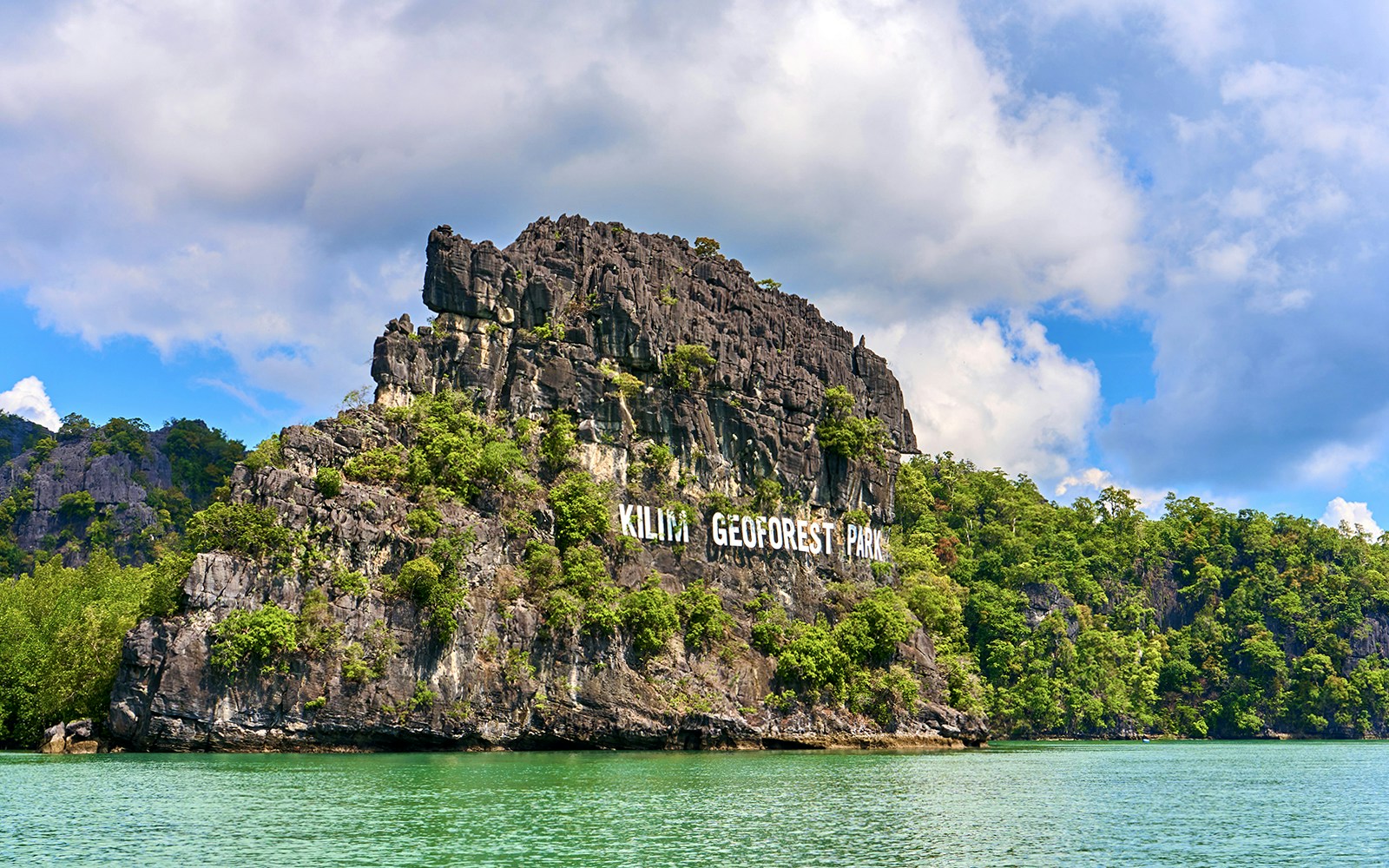 Kayakers paddling through lush mangrove forests in Langkawi, Malaysia during an adventure tour.