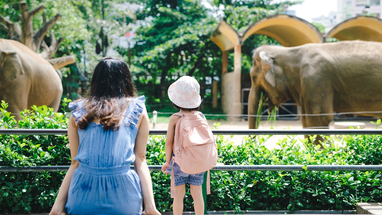 Mother and daughter feeding elephants at a zoo.
