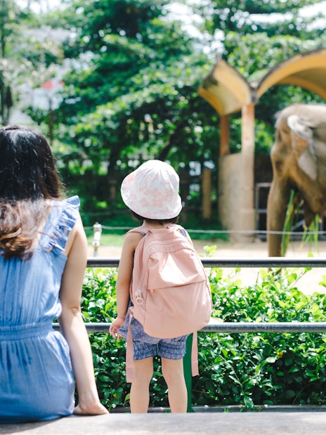 Mother and daughter feeding elephants at a zoo.