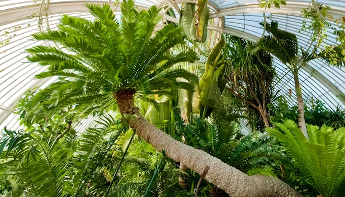 Kew Garden biglietti