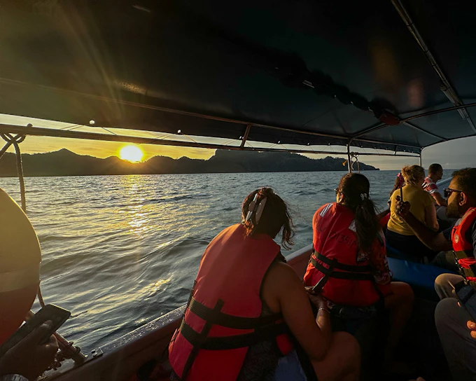 Langkawi Night Mangrove Tour
