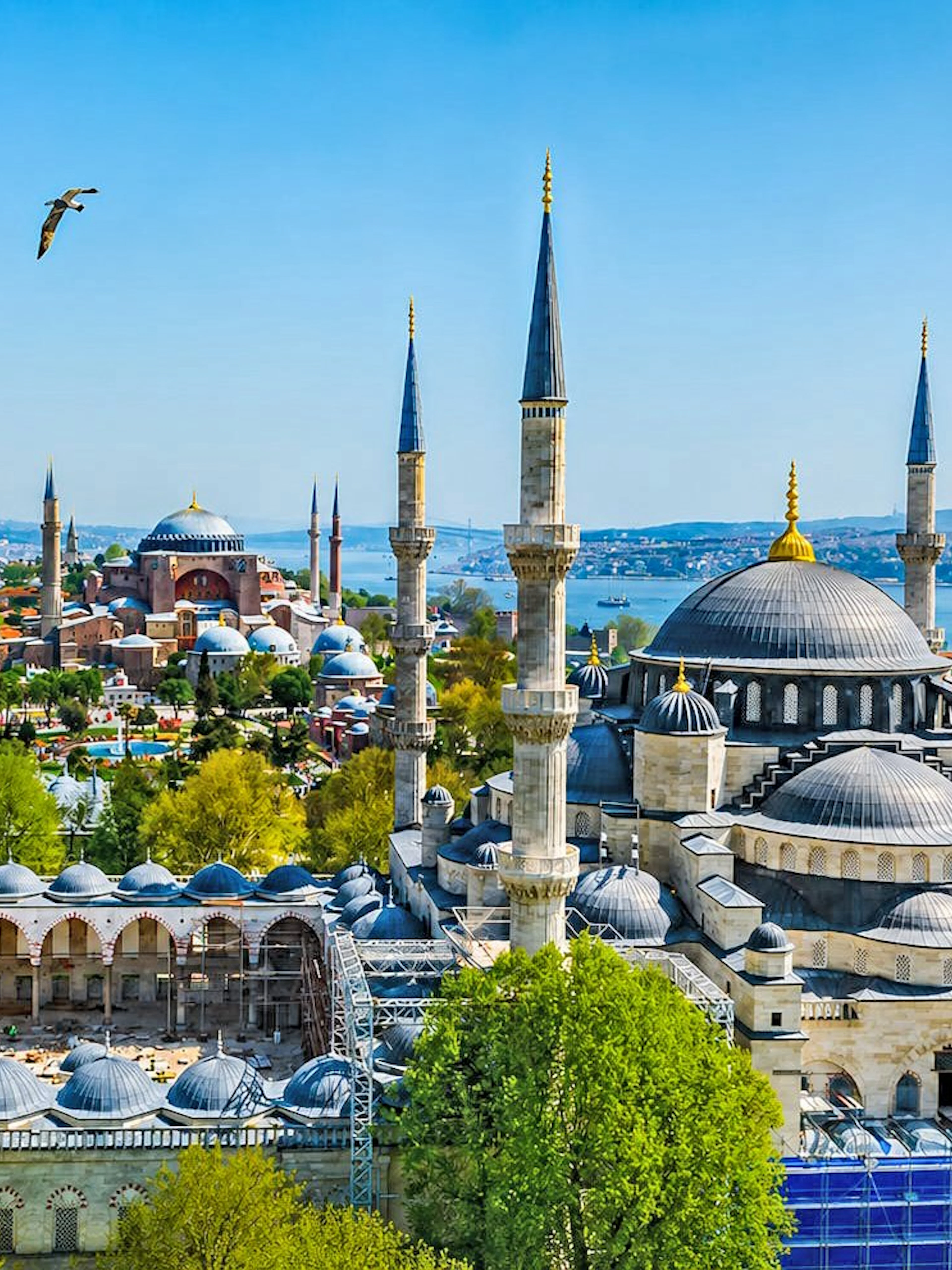 Hagia Sophia and Blue Mosque with Bosphorus view in Istanbul.