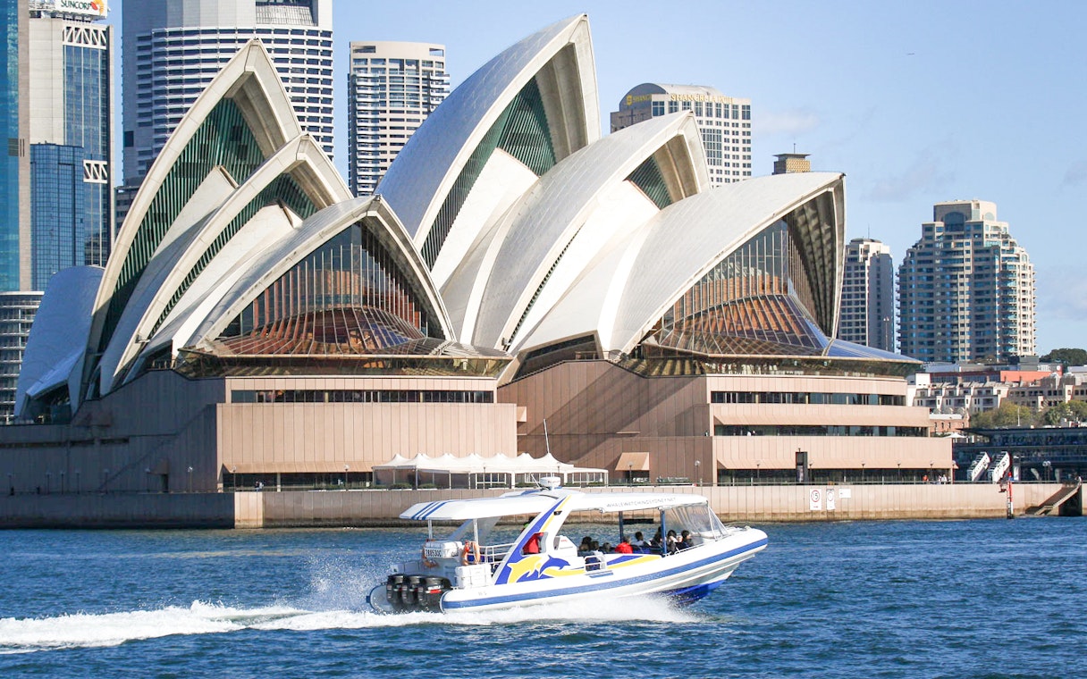 Catamaran cruising near Sydney Opera House on a whale watching tour.