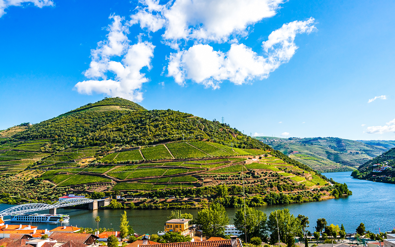 Vineyards along the Douro River with a cruise boat near Porto.