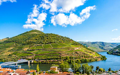 Vineyards along the Douro River with a cruise boat near Porto.