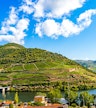 Quinta da Roeda lub Quinta São Luiz