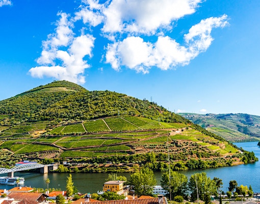 Vineyards along the Douro River with a cruise boat near Porto.