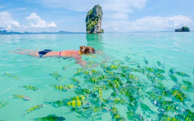 Snorkeler observing fish near limestone rock in Krabi's clear waters.