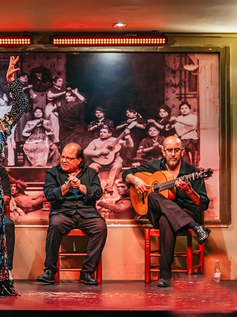 Flamenco dancer performing with musicians in a vibrant show, drink on table, Spain.