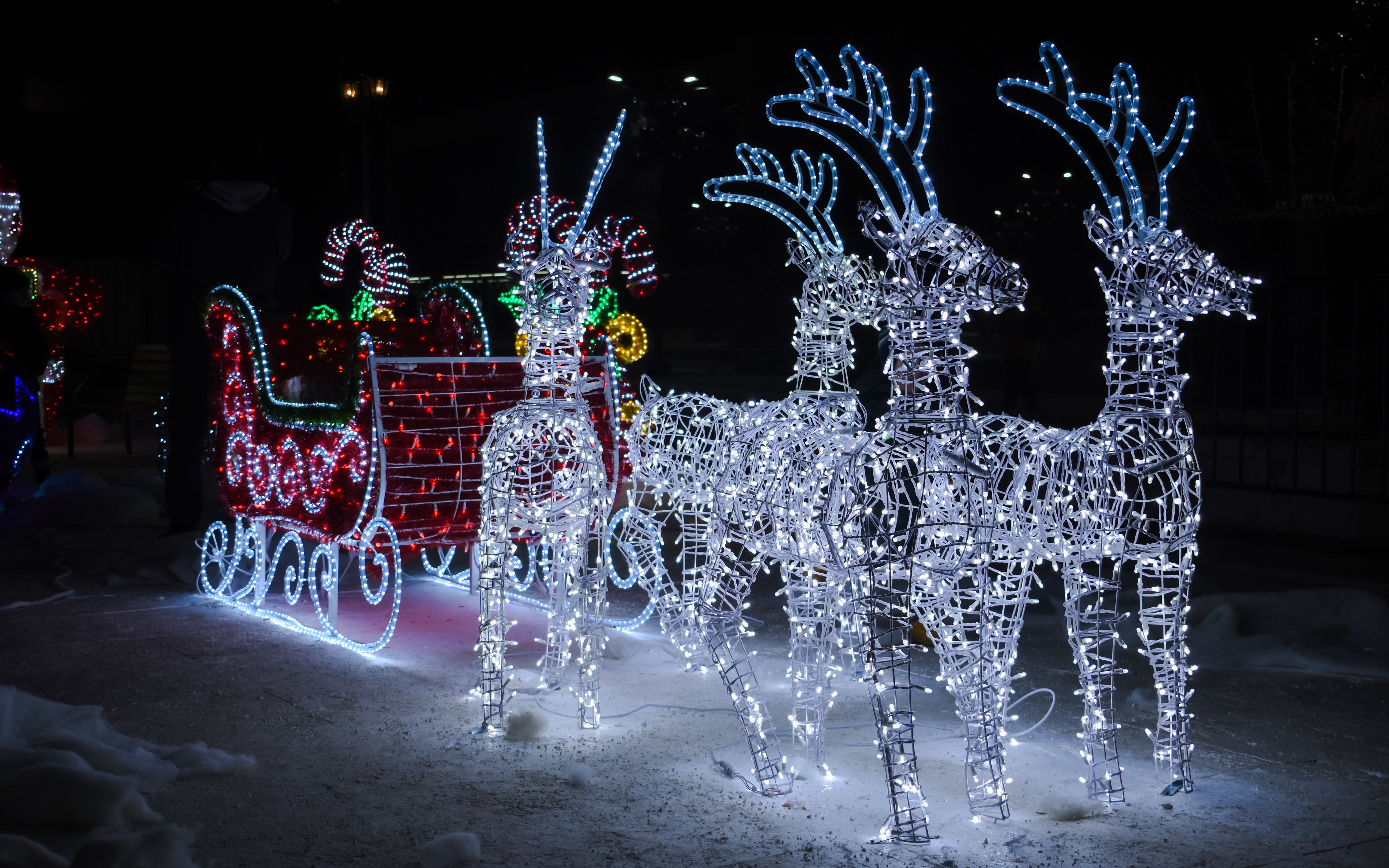 Sled with reindeer made of Christmas lights in a festive display.