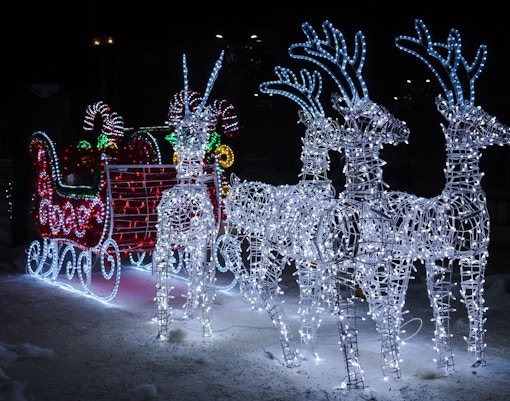 Sled with reindeer made of Christmas lights in a festive display.