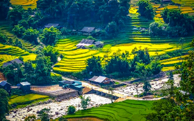 From Sapa Town: Small-Group Guided Trek to Y Linh Ho, Lao Chai and Ta Van