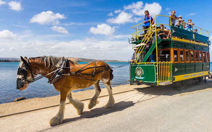 Horse-drawn tram along the coast in Victor Harbor, Australia, with passengers enjoying the view.