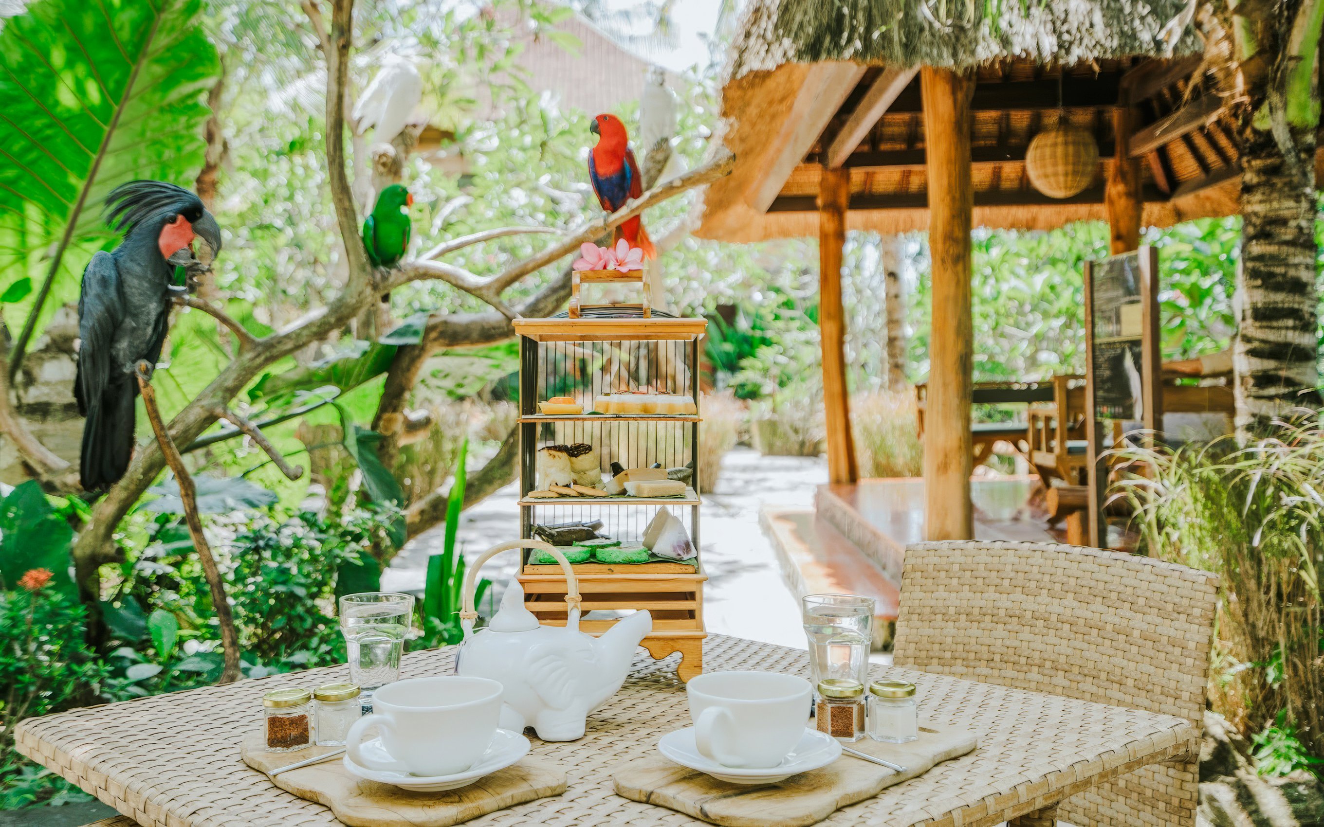 Dining table with tea set and birds at Lombok Wildlife Park.
