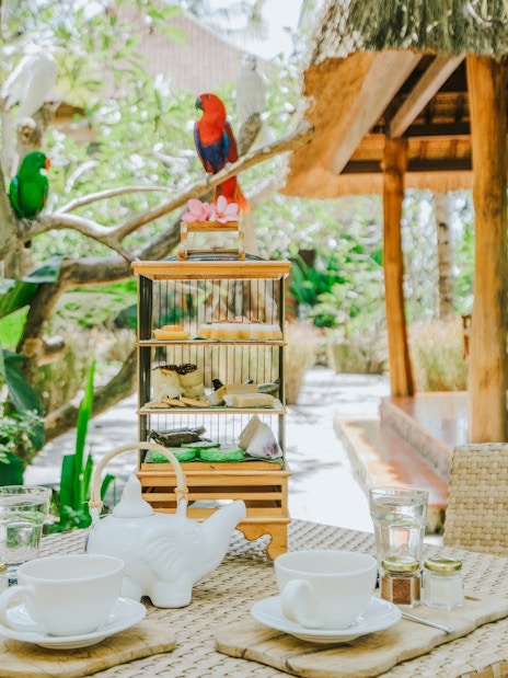Dining table with tea set and birds at Lombok Wildlife Park.
